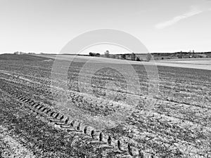 Agriculture landscape. Artistic look in black and white.