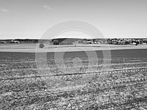 Agriculture landscape. Artistic look in black and white.