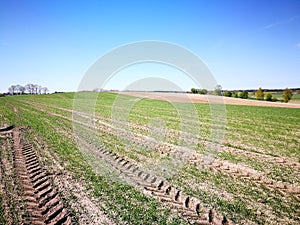 Agriculture landscape. Artistic look in vintage vivid colours.