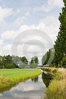 Nature landscape with ditch and trees photo