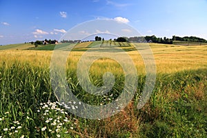 Agriculture landscape in Malopolska photo