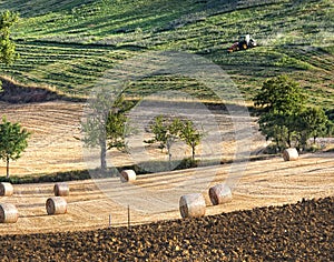Agriculture landscape with straw bales