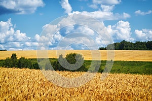 Agriculture landscape. Wheat harvest, and cloudy sky.