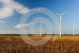 Agriculture landscape with wind turbines