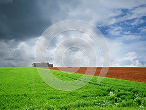 Agriculture landscaped