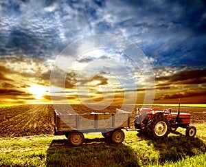 Agriculture landscaped photo