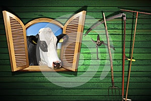 Agriculture and Livestock Concept with Open Window