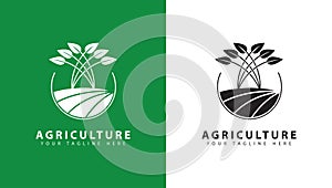 agriculture logo design, agronomy, wheat farming, rural farm fields, natural harvest