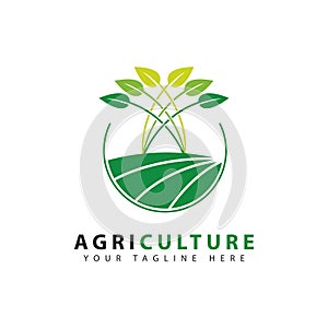 agriculture logo design, agronomy, wheat farming, rural farm fields, natural harvest. eps2