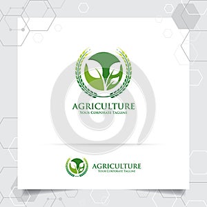 Agriculture logo design with concept of grain icon and plant leaves vector. Green nature logo used for agricultural systems,