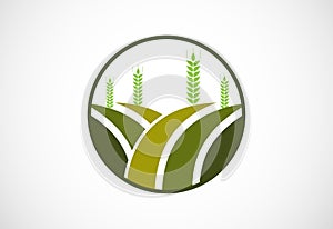 Agriculture logo design, Vector illustration