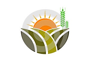 Agriculture logo design, Vector illustration