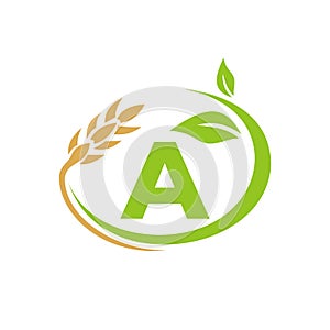 Agriculture Logo On A Letter Concept. Agriculture and farming logo design. Agribusiness, Eco-farm and rural country design with A