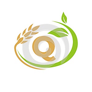Agriculture Logo On Q Letter Concept. Agriculture and farming logo design. Agribusiness, Eco-farm and rural country design with Q