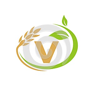 Agriculture Logo On V Letter Concept. Agriculture and farming logo design. Agribusiness, Eco-farm and rural country design with V