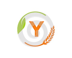 Agriculture Logo On Y Letter Concept. Agriculture and farming logo design. Agribusiness, Eco-farm and rural country design with Y