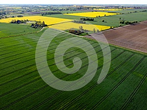 Agriculture lowland in spring, aerial view, Zulawy Wislane, Poland