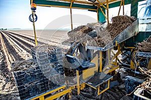 Agriculture machines on asparagus field