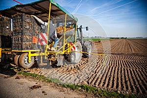 Agriculture machines on asparagus field