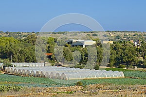 Agriculture in Malta