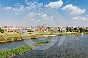 Agriculture in the middle of Cairo city in Egypt