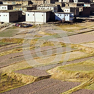 Agriculture in Moroccan Berber village