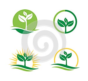 agriculture natural plant fertile logo design