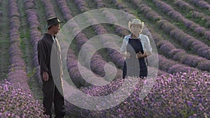 Agriculture in the Netherlands. Sad farmers in a flower field. Restriction of the use of nitrogen fertilizers