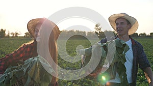 Agriculture.Peasants in the field with bunch of greenery in their hands.Organic food.Farmers market for fresh vegetables