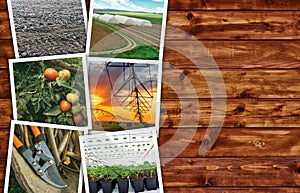 Agriculture photo collage