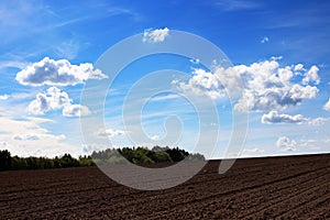 Agriculture - ploughed field background.