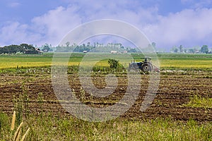 Agriculture plowing tractor on wheat cereal fields, agriculture in asia