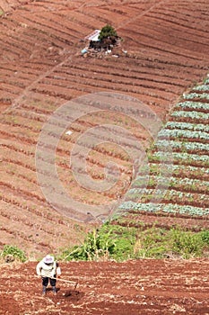 Agriculture is preparing the soil for planting