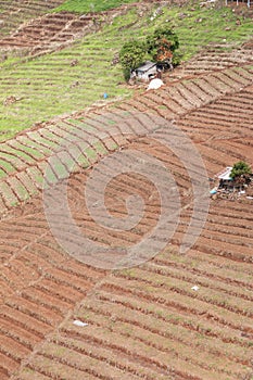 Agriculture is preparing the soil for planting