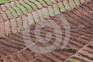 Agriculture is preparing the soil for planting