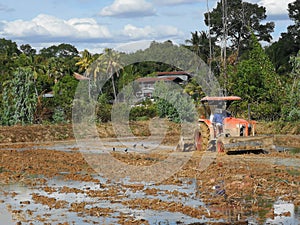 Agriculture, rice planting, using a tractor, machinery as a laboring machine