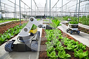 Agriculture robotic and autonomous car working in smart farm, Future 5G technology with smart agriculture farming concept photo