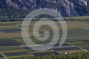 Agriculture in the Sarca Valley