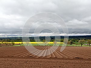 Agriculture in Scotland - freshly plowed field and rapeseed field in background - spring in Scotland