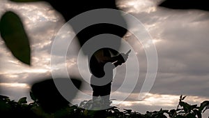 Agriculture. Silhouette of farmer with tablet in wheat field. Harvesting at sunset.Agricultural business.Farmer controls