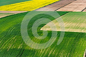 Agriculture at Spring. Colorful Patterns of Farmfields
