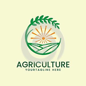 agriculture with sun and leaf logo vector illustration design