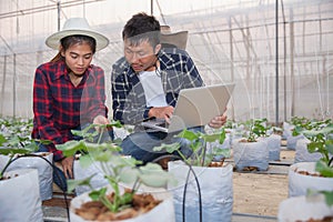 Agriculture technology concept man Agronomist Using a Laptop in an Agriculture Field read a report, Plant analysis and research