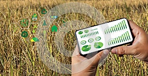 Agriculture technology concept man Agronomist Using a Tablet in an Agriculture Field read a report