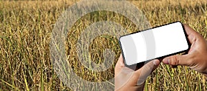 Agriculture technology concept man Agronomist Using a Tablet in an Agriculture Field read a report