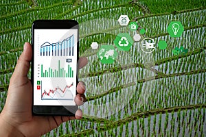 Agriculture technology concept man Agronomist Using a Tablet in an Agriculture Field read a report agriculture