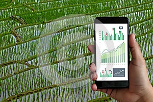 Agriculture technology concept man Agronomist Using a Tablet in an Agriculture Field read a report agriculture