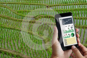 Agriculture technology concept man Agronomist Using a Tablet in an Agriculture Field read a report agriculture