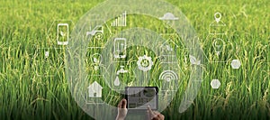 Agriculture technology concept man Agronomist Using a Tablet in an Agriculture Field read a report integrate artificial