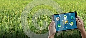 Agriculture technology concept man Agronomist Using a Tablet in an Agriculture Field read a report integrate artificial